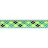 3/4 In Lime Green and Blue Argyle Ribbon on Ice Blue Nylon Webbing Closeout,5 Yd